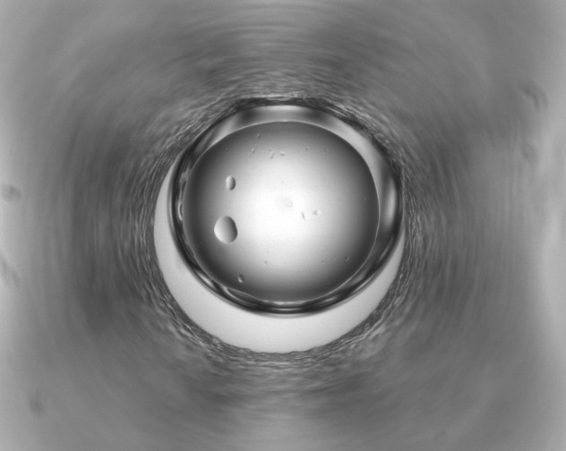X0000091191010200708091245