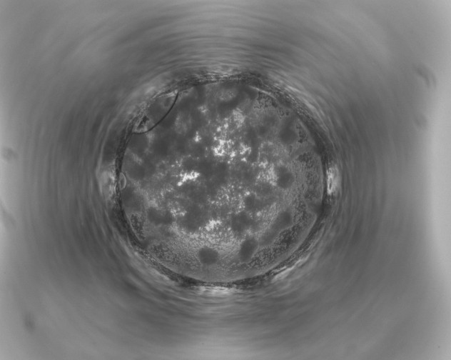X0000091191011200708091245