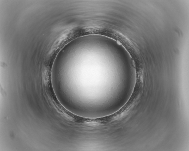 X0000091191012200708091245