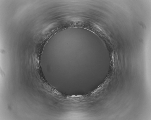 X0000091191013200708091245