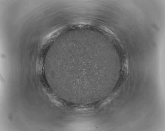 X0000091191014200708091245