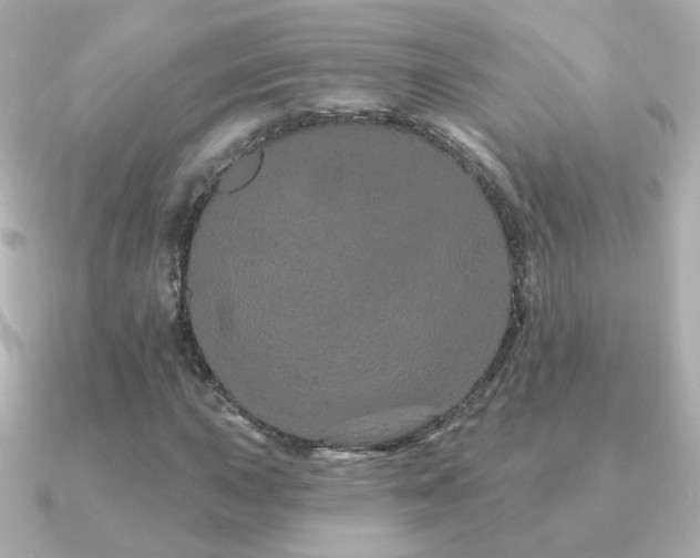 X0000091191015200708091245
