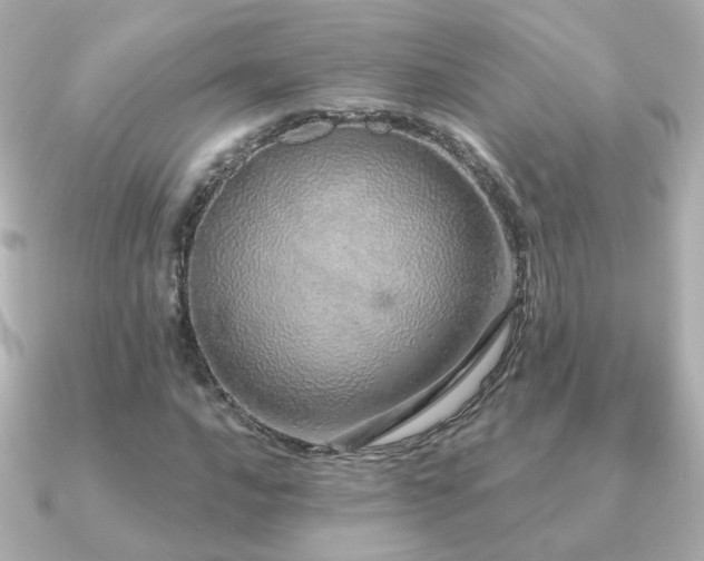 X0000091191016200708091245