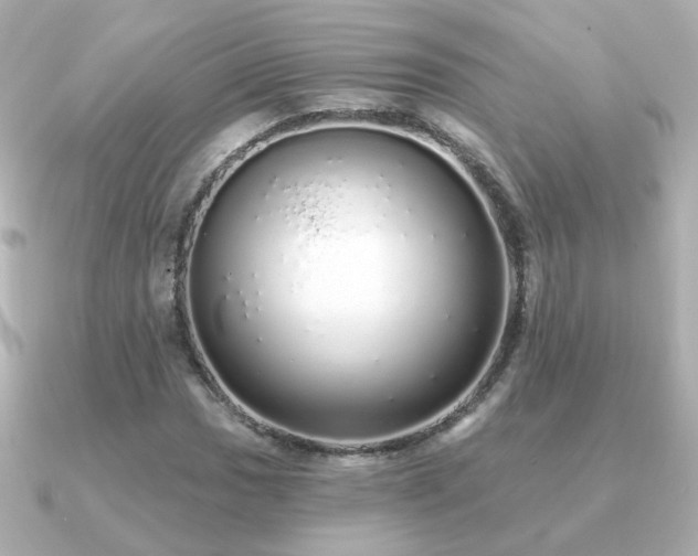 X0000091191017200708091245