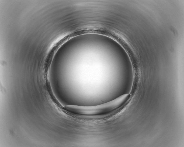 X0000091191018200708091245