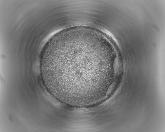 X0000091191019200708091245