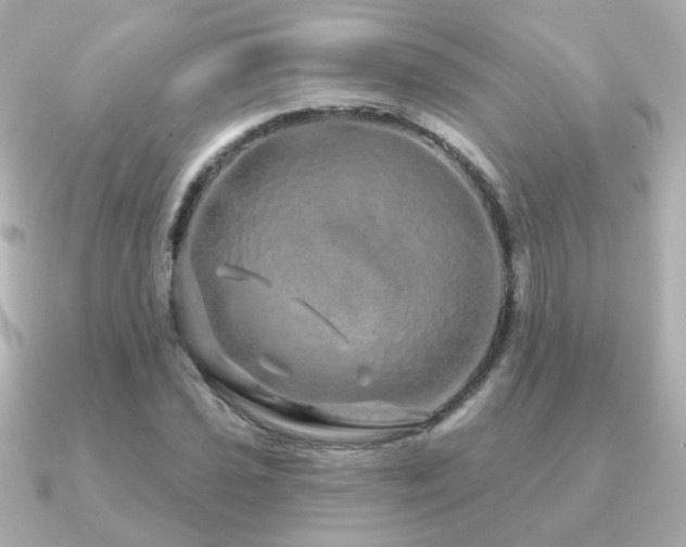X0000091191021200708091245