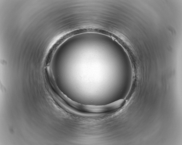X0000091191022200708091245