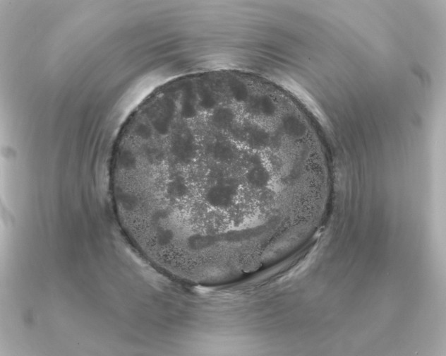 X0000091191023200708091245