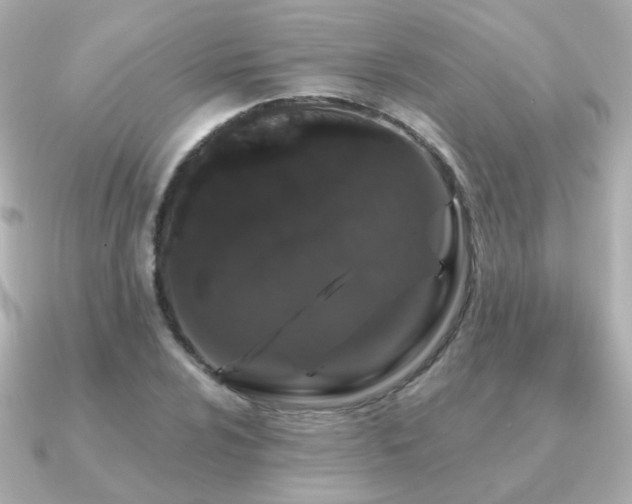 X0000091191024200708091245