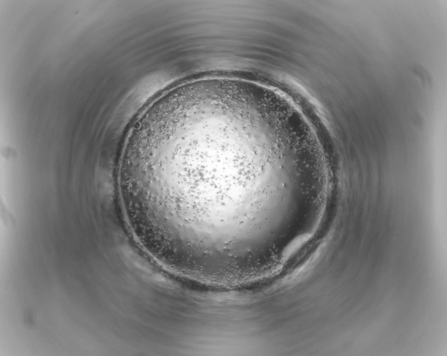 X0000091191025200708091245