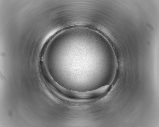 X0000091191026200708091245