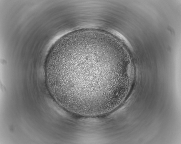 X0000091191027200708091245