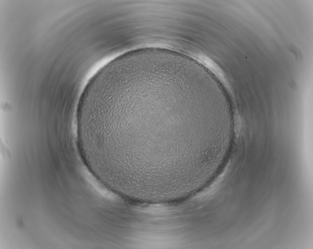 X0000091191028200708091245