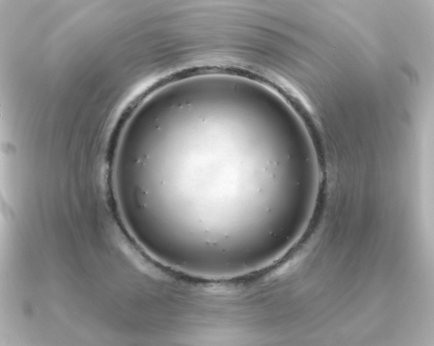 X0000091191029200708091245