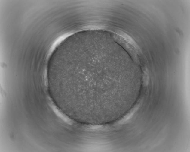 X0000091191030200708091246