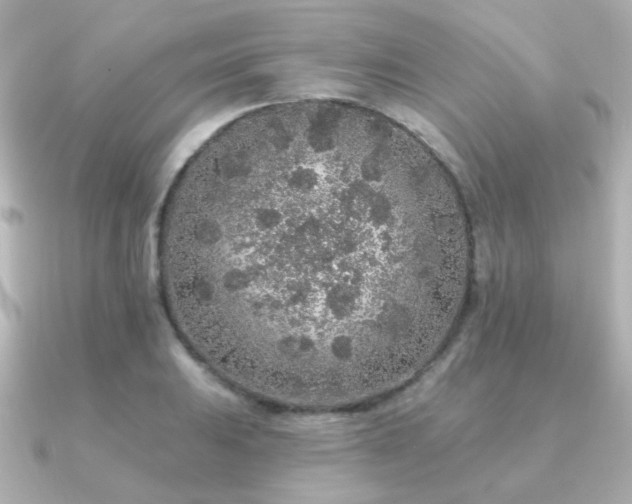 X0000091191031200708091246