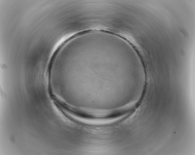 X0000091191032200708091246