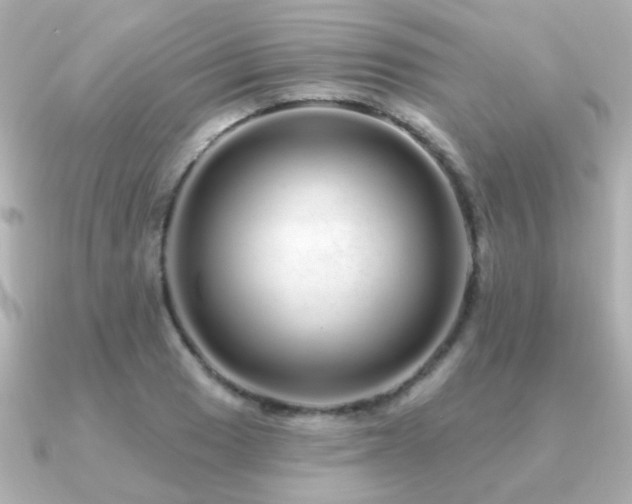 X0000091191033200708091246