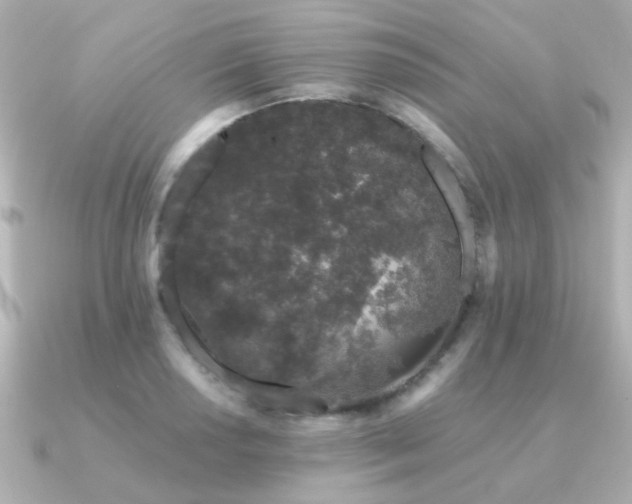 X0000091191034200708091246