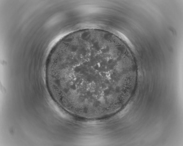 X0000091191035200708091246