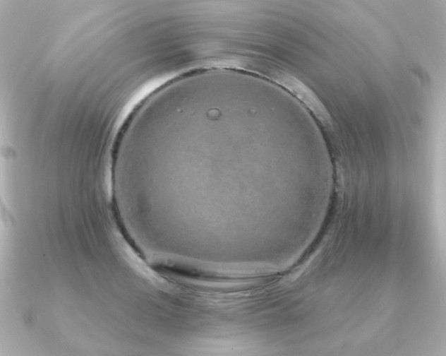 X0000091191036200708091246