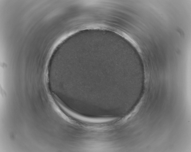 X0000091191037200708091246