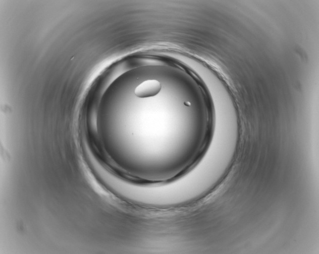 X0000091191038200708091246