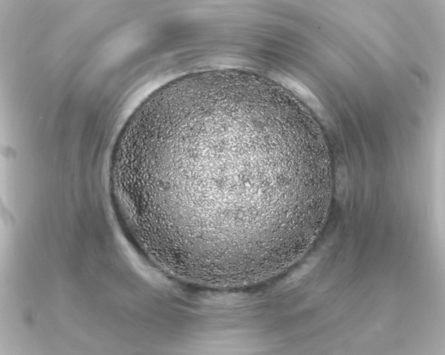 X0000091191039200708091246