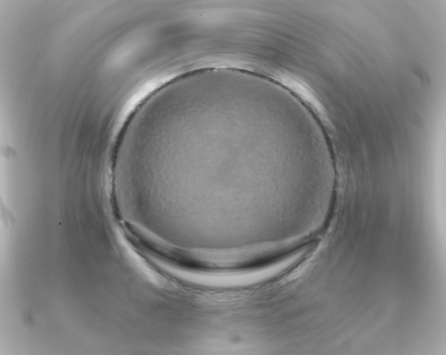 X0000091191040200708091246
