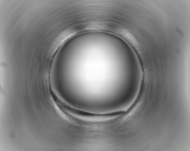 X0000091191041200708091246