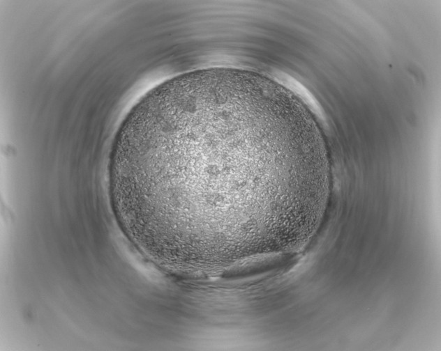 X0000091191043200708091246