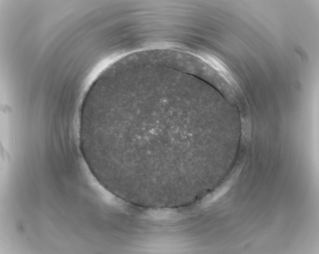 X0000091191046200708091246