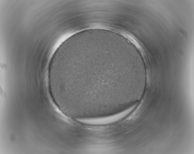 X0000091191048200708091246