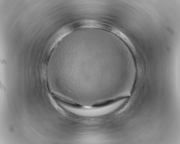 X0000091191049200708091246