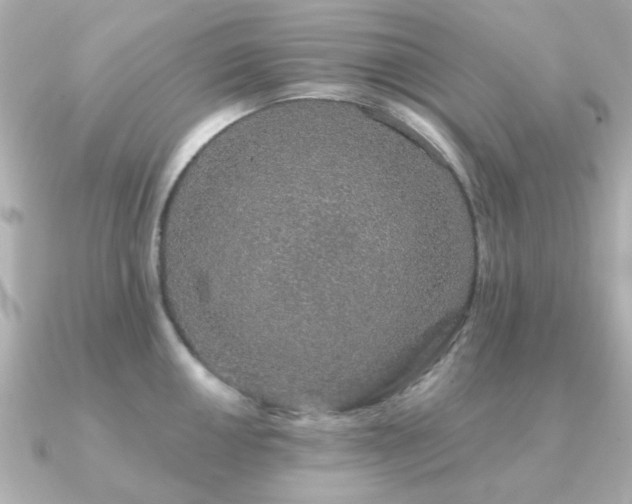 X0000091191050200708091246