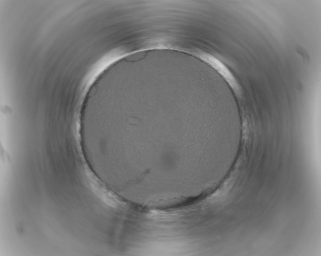 X0000091191051200708091246