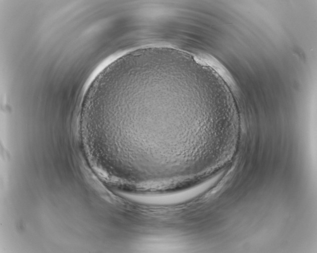 X0000091191052200708091246
