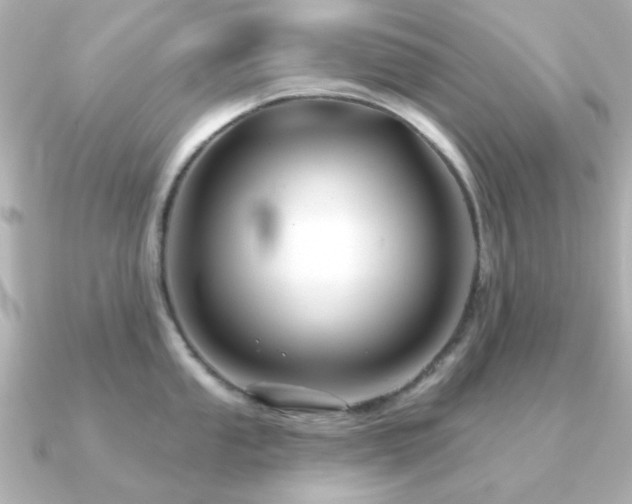 X0000091191053200708091246