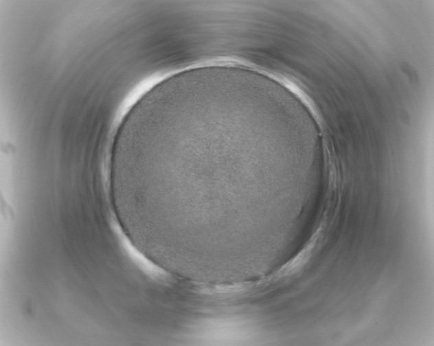 X0000091191054200708091246