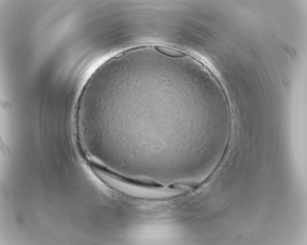 X0000091191056200708091246