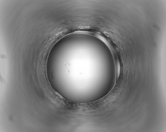 X0000091191057200708091245
