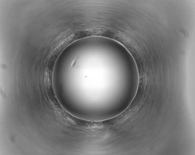 X0000091191058200708091245