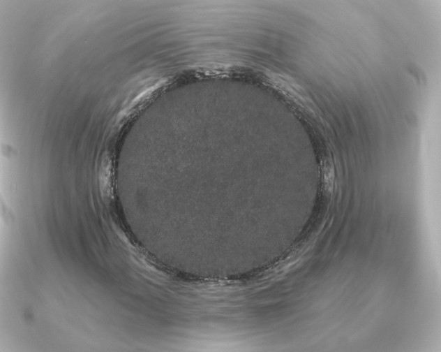 X0000091191060200708091245