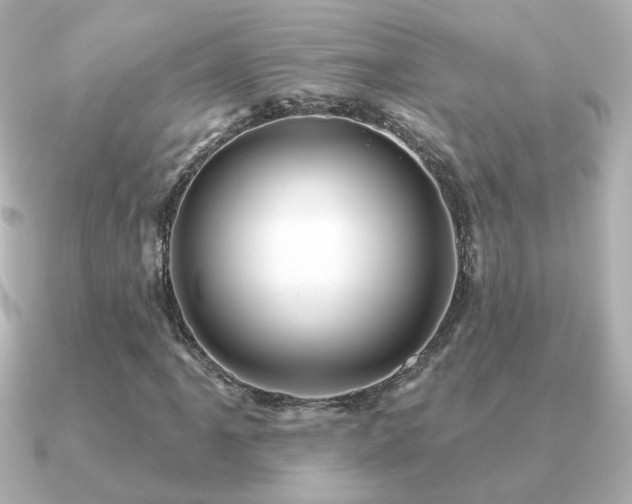 X0000091191061200708091245