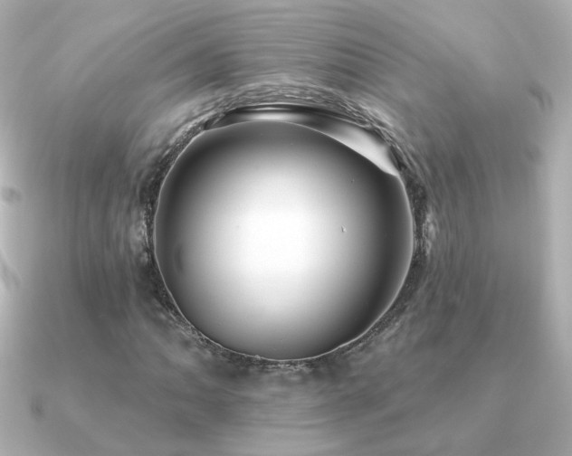 X0000091191062200708091245