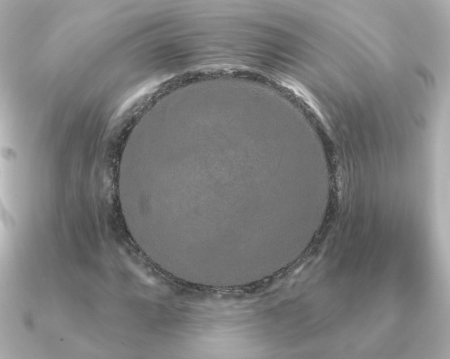 X0000091191064200708091245