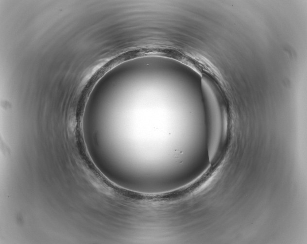 X0000091191065200708091245