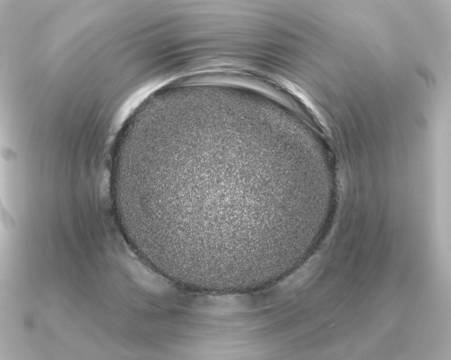 X0000091191066200708091245