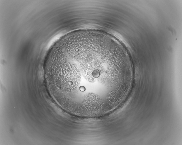 X0000091191067200708091245